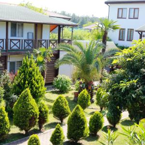 отель Alashara Guest House
