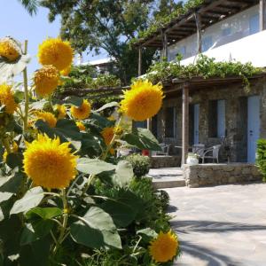 отель Panormos Village Hotel