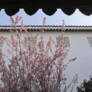 отель Pan Pacific Suzhou