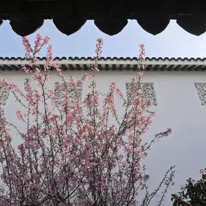 отель Pan Pacific Suzhou