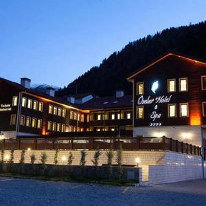 отель Flora Uzungol Resort Hotel