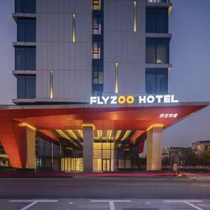 отель FlyZoo Hotel Hangzhou