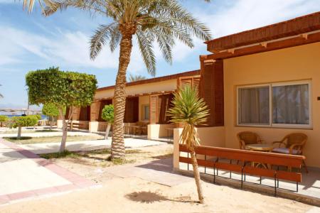 Отель Nuweiba Club Resort в Нувейба - Египет