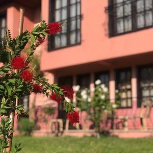отель Hotel Palme Dalyan