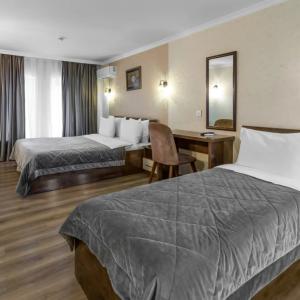 отель Moss Art Hotel