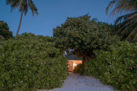 Отель Canareef Resort Maldives в Адду (Сину, Сеену) Атолл - Мальдивы