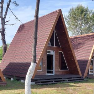 отель Sosnovy Bor Resort
