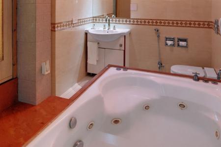 Отель Hotel Amar в Агра - Индия