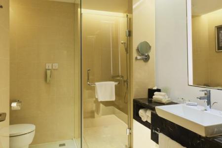 Holiday Inn Tianjin Riverside, an IHG hotel