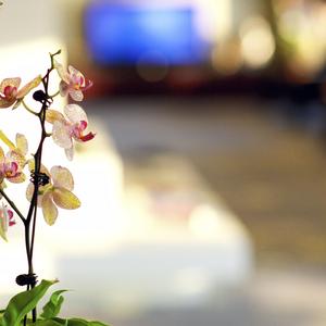 отель SSAW Boutique Hotel Ningbo CBD - Family Friendly & Business Travel
