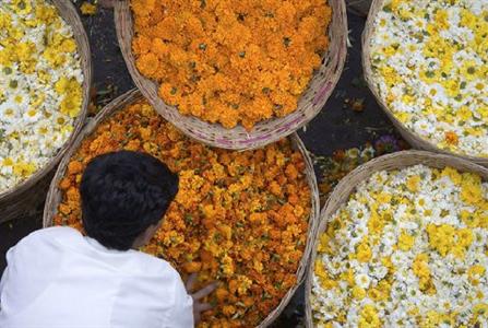 Отель The Lalit Mumbai в Мумбаи (Бомбей) - Индия