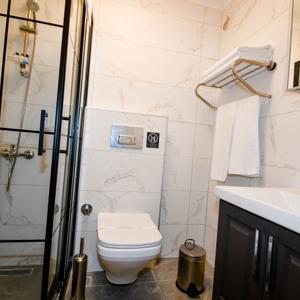 отель Swan Boutique Hotel