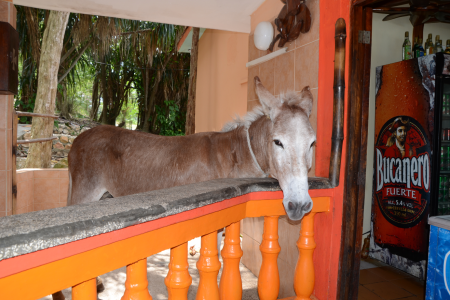 Islazul Mirador de Mayabe