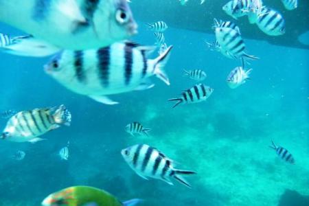 Отель Jamahkiri Resort & Spa в Ко Тао - Таиланд