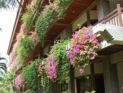 Отель Jayakarta Lombok в о. Ломбок - Индонезия