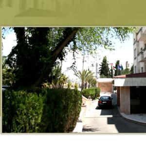 отель Amman International