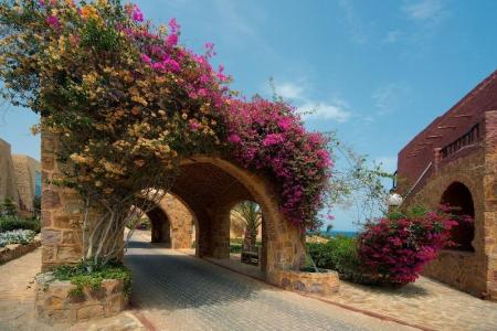 Отель Pickalbatros Vita Resort - Portofino Marsa Alam в Марса Алам, Эль Кусейр - Египет