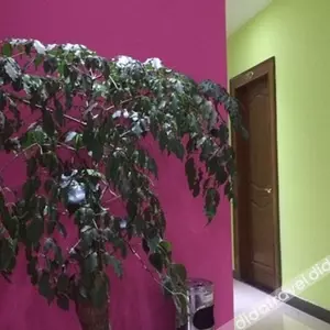 отель Yizhou Hotel