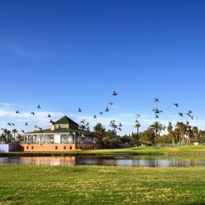 отель Le Pavillon du Golf