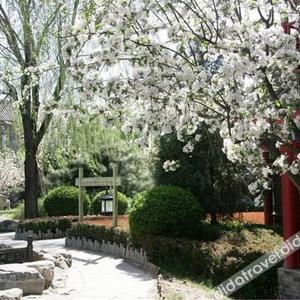 отель Jiu Hua Spa & Resort