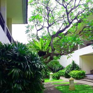 отель Legian Paradiso