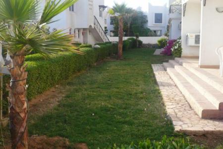 Отель Logaina Sharm Resort в Шаркс Бей - Египет