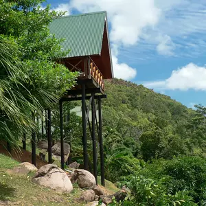 отель Mango Lodge