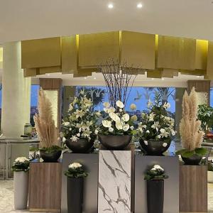отель Ghazala Luxury Collection Alamein