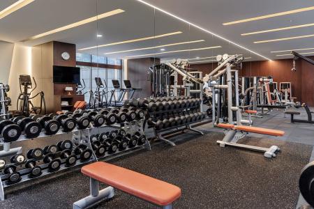 Отель The H Dubai Hotel в Бур Дубай - ОАЭ