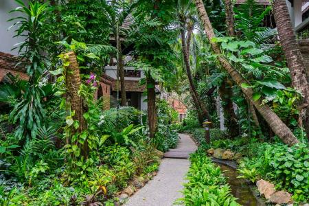 Отель Muang Samui Spa Resort в пляж Чавенг - Таиланд