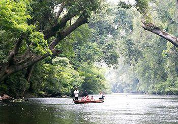 Mutiara Taman Negara Resort