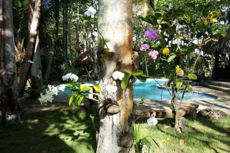 Natura Cabanas Boutique Hotel & Spa