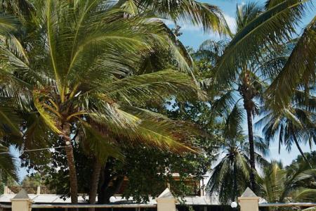 Отель Neptune Beach Resort в Момбаса - Кения