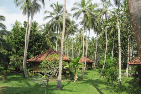 Palm Paradise Cabanas