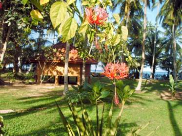 Palm Paradise Cabanas
