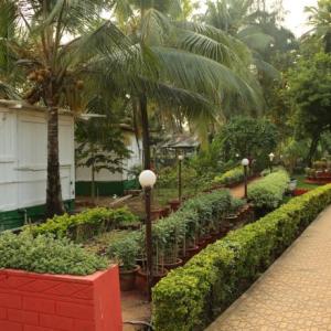 отель Palolem Beach Resort