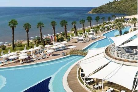 Paloma Pasha (Ozdere)