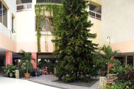 Отель Occidental Arenas Blancas в Варадеро - Куба