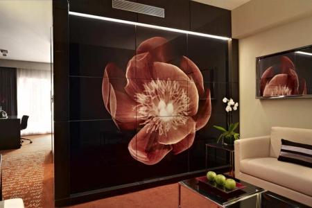 Park Plaza Westminster Bridge London