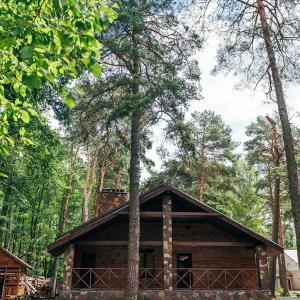 отель Лесная Гавань