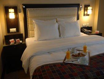 Отель Ramada Istanbul Old City в Фатих - Турция