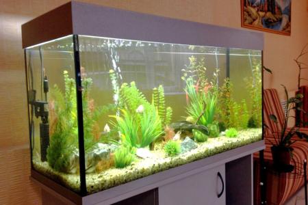 Отель Rest Home в Нижний Новгород - Россия