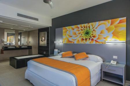 Отель Hotel Riu Cancun в Канкун - Мексика