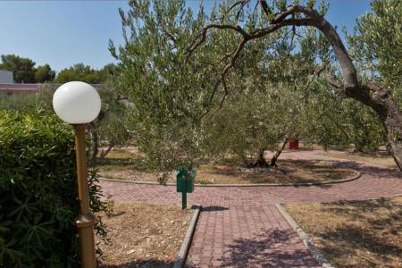 Отель Rivijera Sunny Resort by Valamar в Средняя Далмация - Хорватия