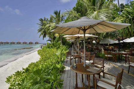 Отель Robinson Club Maldives в Гаафу Алифу Атолл - Мальдивы