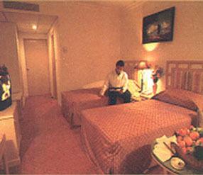 Отель Royal Singi в Катманду - Непал