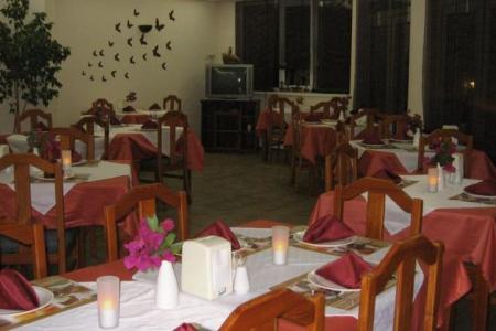 Отель Ataer Hotel в Конаклы - Турция