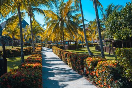 Отель Royalton Hicacos Resort & Spa в Варадеро - Куба