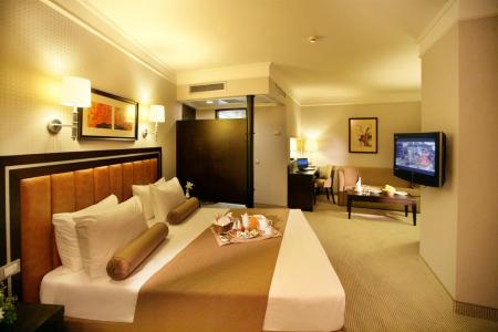 Отель Holiday Inn Istanbul - Old City в Лалели - Турция