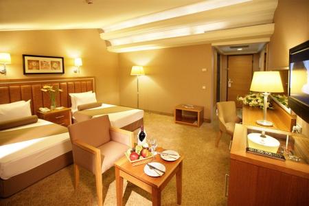 Отель Holiday Inn Istanbul - Old City в Лалели - Турция